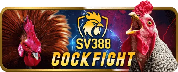 Cookie bắt buộc đảm bảo chức năng cốt lõi của Jiun88 Win
